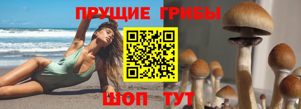 Псилоцибиновые грибы Psilocybine cubensis  Вход с VPN  Псилоцибиновые грибы мухоморы  где купить наркотик  Саяногорск 